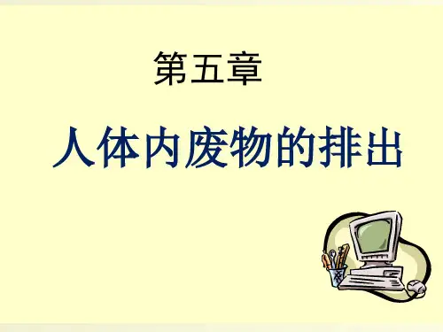 人教版生物七年级下册第四单元第五章  人体内废物的排出  课件
