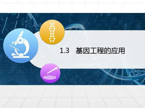 新人教版生物选修三:基因工程的应用