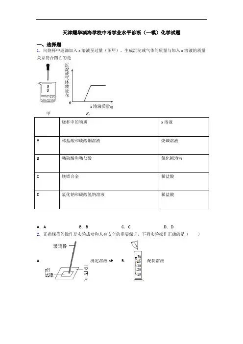 天津耀华滨海学校中考学业水平诊断(一模)化学试题