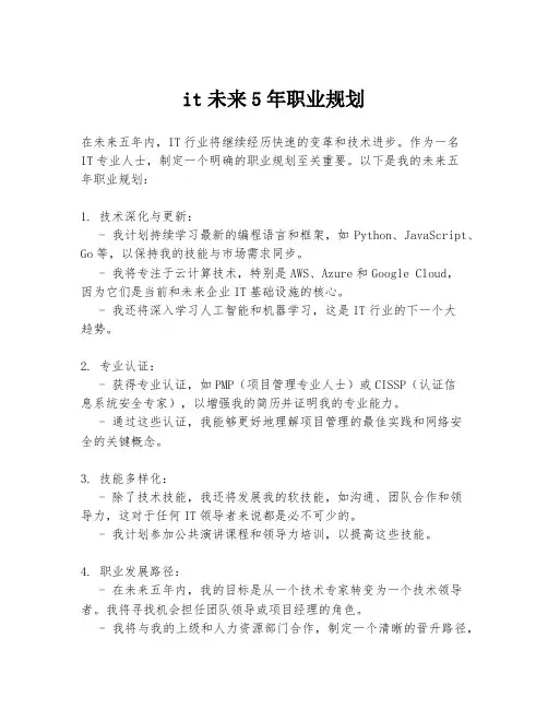 it未来5年职业规划