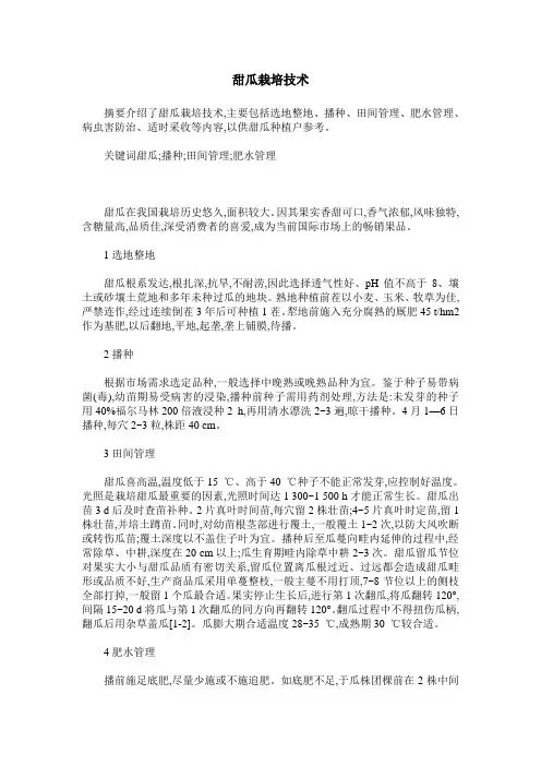 甜瓜栽培技术