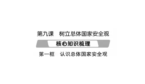 人教版八年级上册道德与法治9课第1框 认识总体国家安全观考点