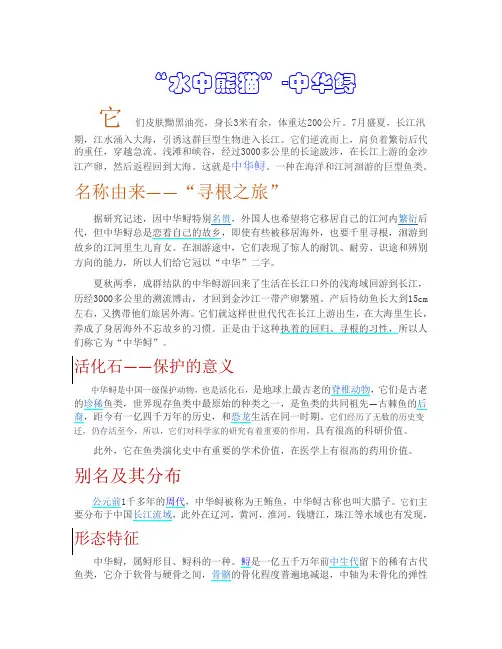 中华鲟