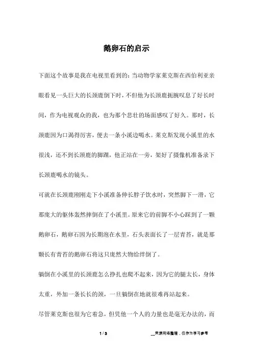 鹅卵石的启示_人生故事