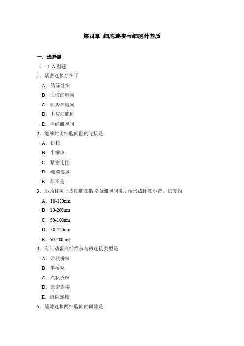 4细胞连接与细胞外基质