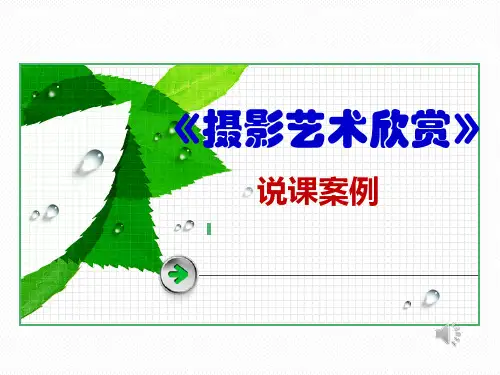 摄影艺术欣赏说课稿
