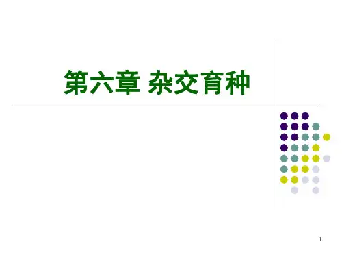 杂交育种