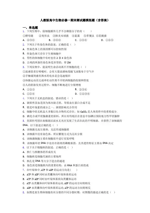 人教版高中生物必修一期末测试题模拟题(含答案)