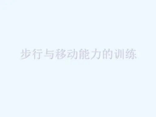步行与移动能力的训练