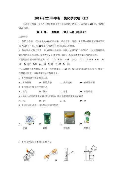 2019-2020年中考一模化学试题 (II)