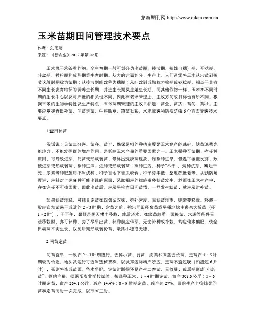 玉米苗期田间管理技术要点