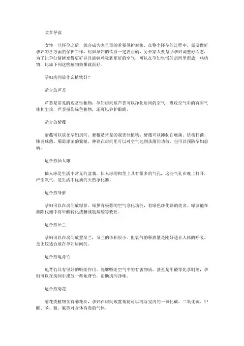 生活养生-孕妇房间放什么植物好