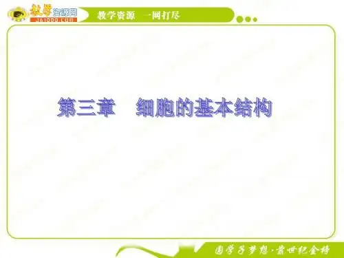 11-12学年高一生物必修1(新人教版)同步课件：3.1 细胞膜——系统的边界
