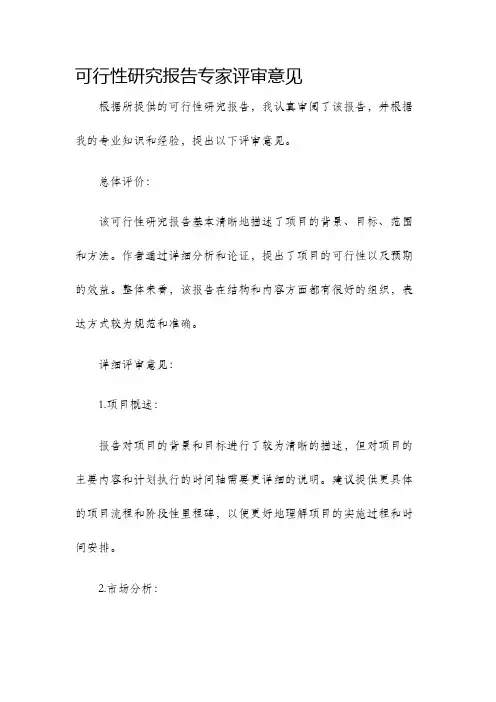 可行性研究报告专家评审意见 3