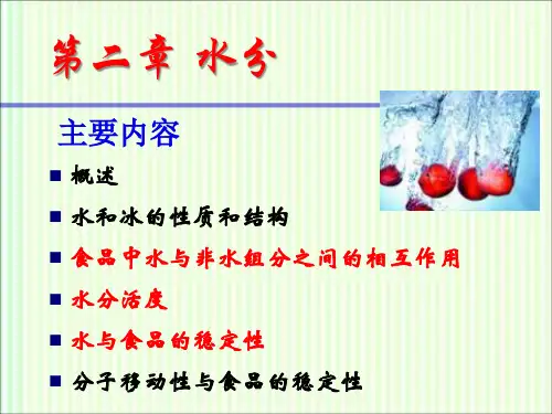 食品化学：水分
