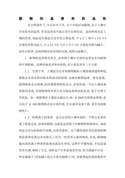 盐害对植物的影响