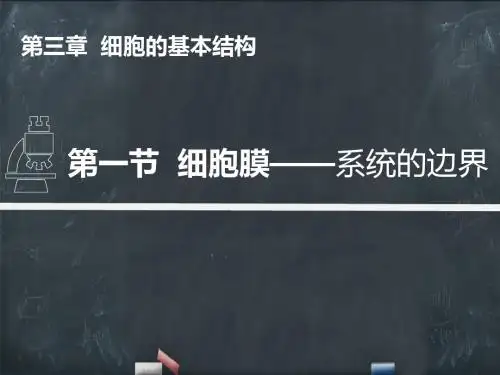 细胞膜——系统的边界