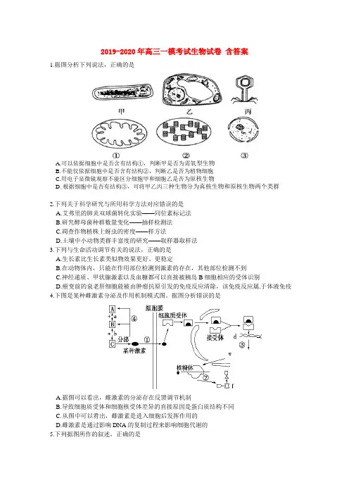 2019-2020年高三一模考试生物试卷 含答案