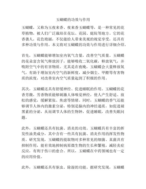 玉蝴蝶的功效与作用