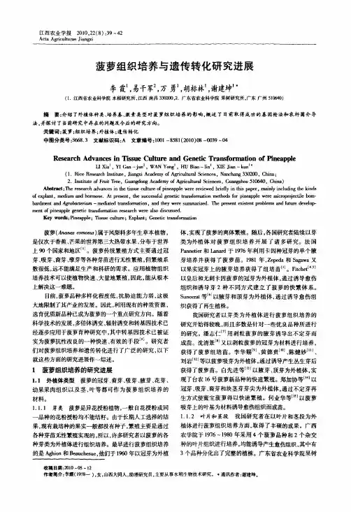 菠萝组织培养与遗传转化研究进展
