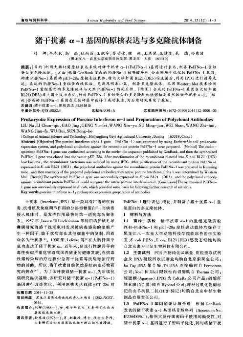 猪干扰素α-1基因的原核表达与多克隆抗体制备