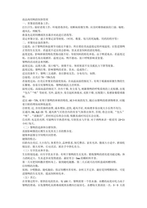 商品肉用鸭的饲养管理