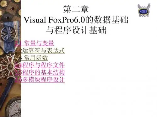 vfp新第2章