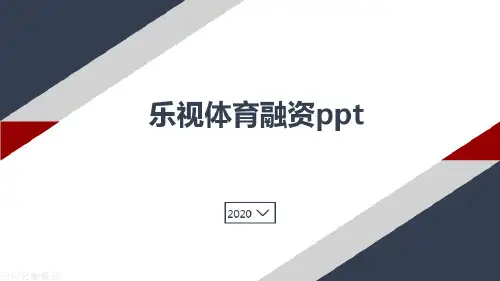 乐视体育融资