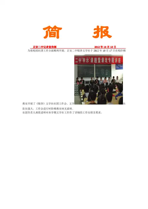 简报格式