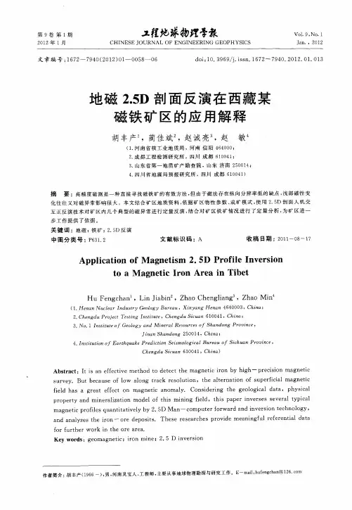 地磁2.5D剖面反演在西藏某磁铁矿区的应用解释