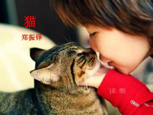 猫,xiong123,xiong123,语文,初中一年