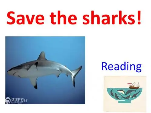 Go_for_it_九年级U13_3a_save_the_sharks