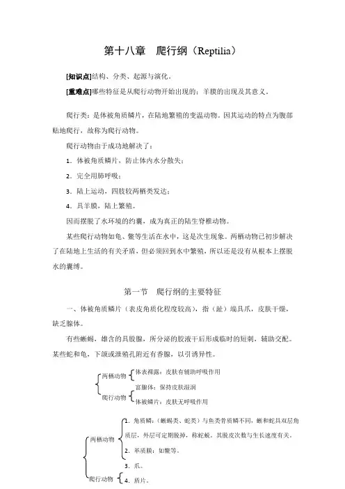 第十八章爬行纲