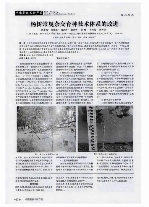 杨树常规杂交育种技术体系的改进