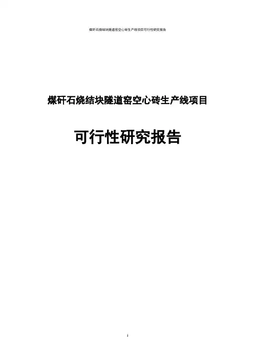 煤矸石烧结块隧道窑空心砖生产线项目可行性研究报告