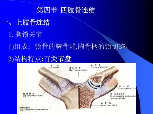关节学课件03