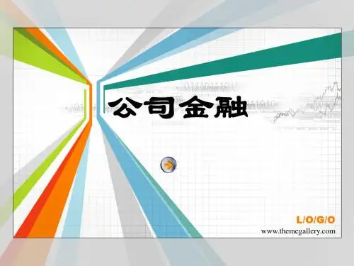 《公司金融》09