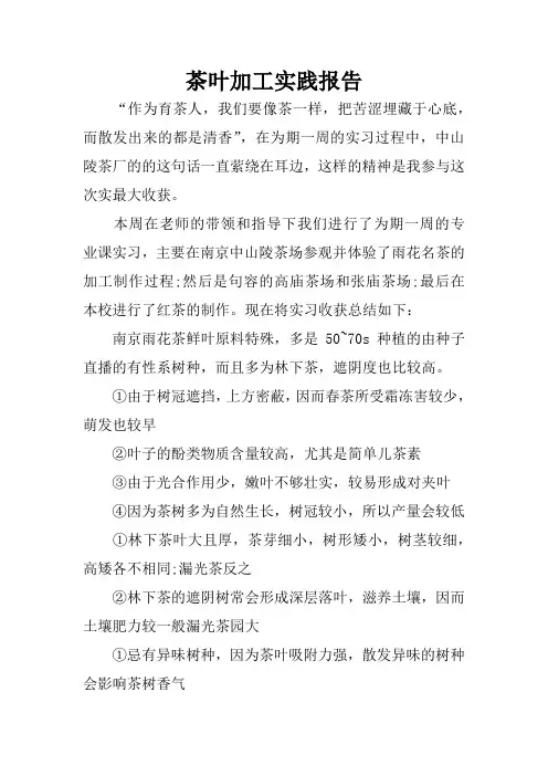 茶叶加工实践报告