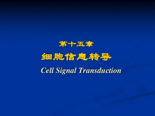 四川大学生物化学课件 细胞信息转导
