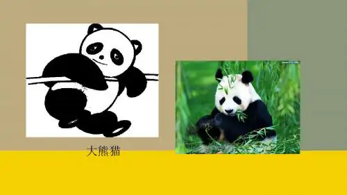 黑白装饰画