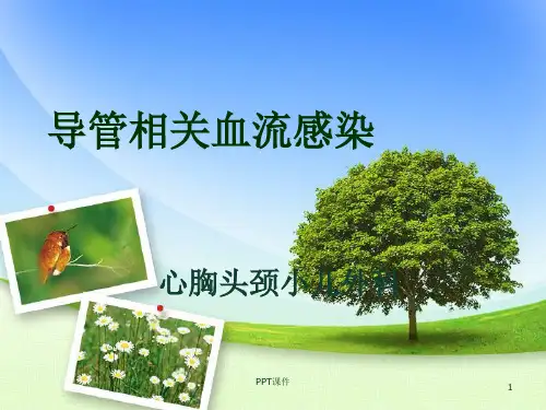 导管相关血流感染  ppt课件