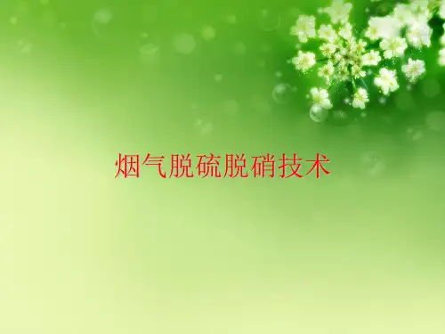 烟气脱硫脱硝技术优秀课件