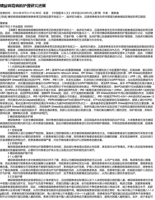 糖尿病肾病的护理研究进展