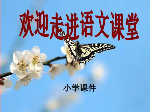 五年级语文《细节描写》