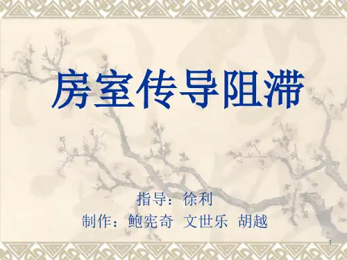 房室传导阻滞(课堂PPT)
