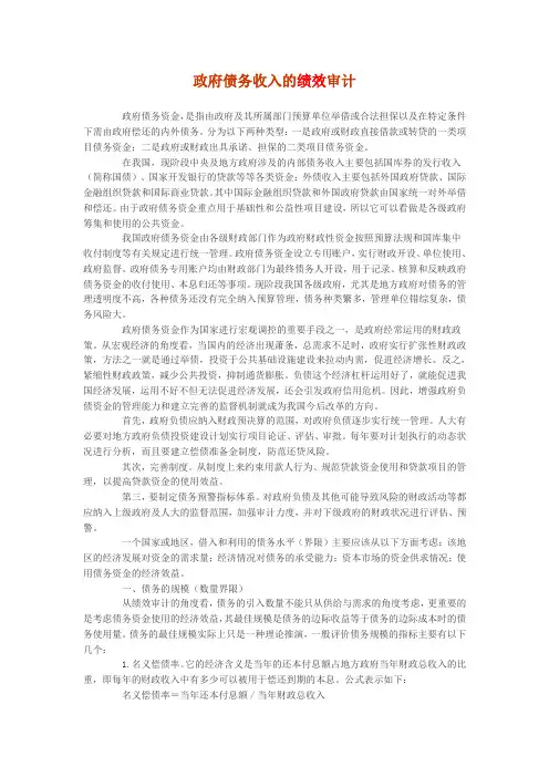 政府债务收入的绩效审计