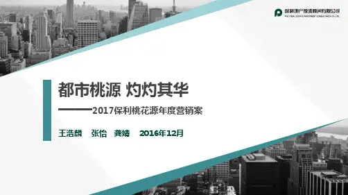 2017保利桃花源年度案【地产】