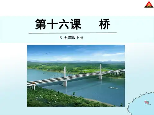 五下16.桥课件完美版