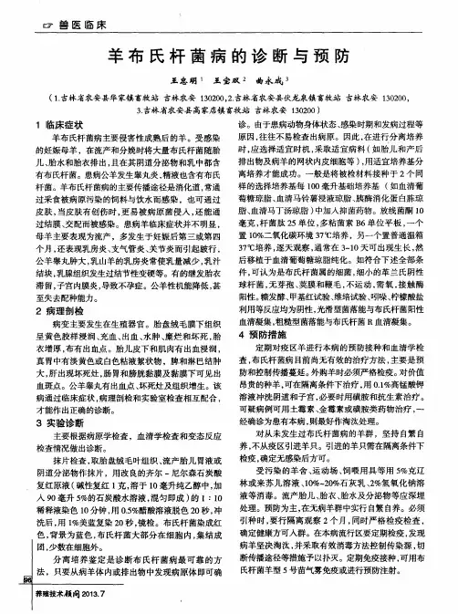 羊布氏杆菌病的诊断与预防