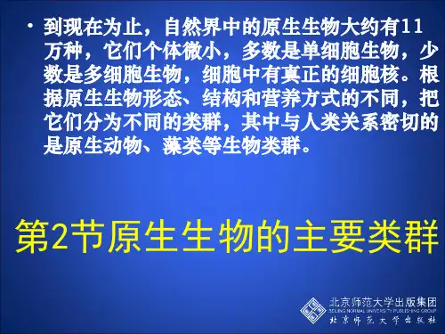 22-2原生生物的主要类群